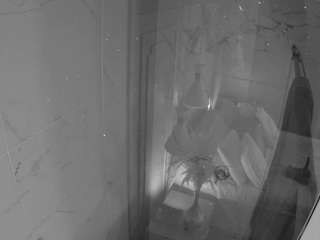voyeurcam casa salsa bathroom 12